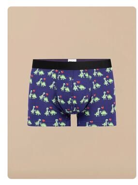 UndiesMe -Mens trunks size XL(Jurassic Joy) -New with tags